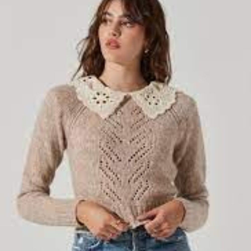 ASTR EMBROIDERED COLLAR SWEATER TAUPE/S